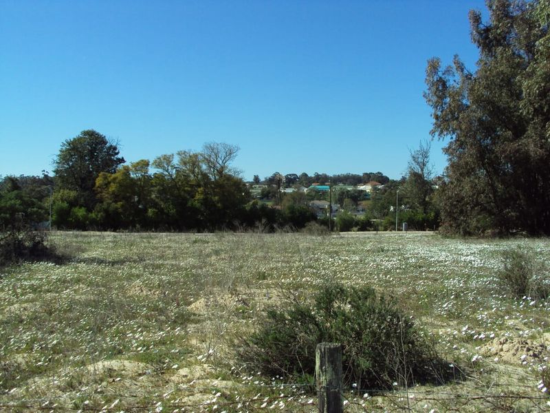A vacant residential plot featuring natural vegetation and surrounding trees, offering a clear view of the nearby neighborhood.