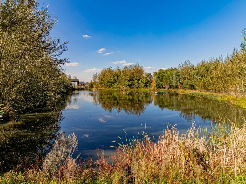 A scenic view of a natural pond surrounded by mature trees and reeds, offering a peaceful outdoor setting.