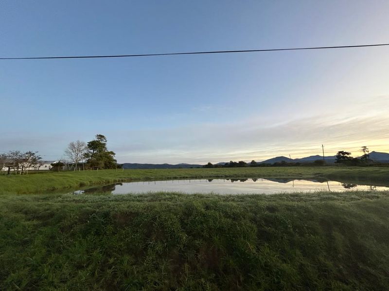 A scenic view of a farm dam set within open pasture land, featuring distant mountain ranges under a clear sky.