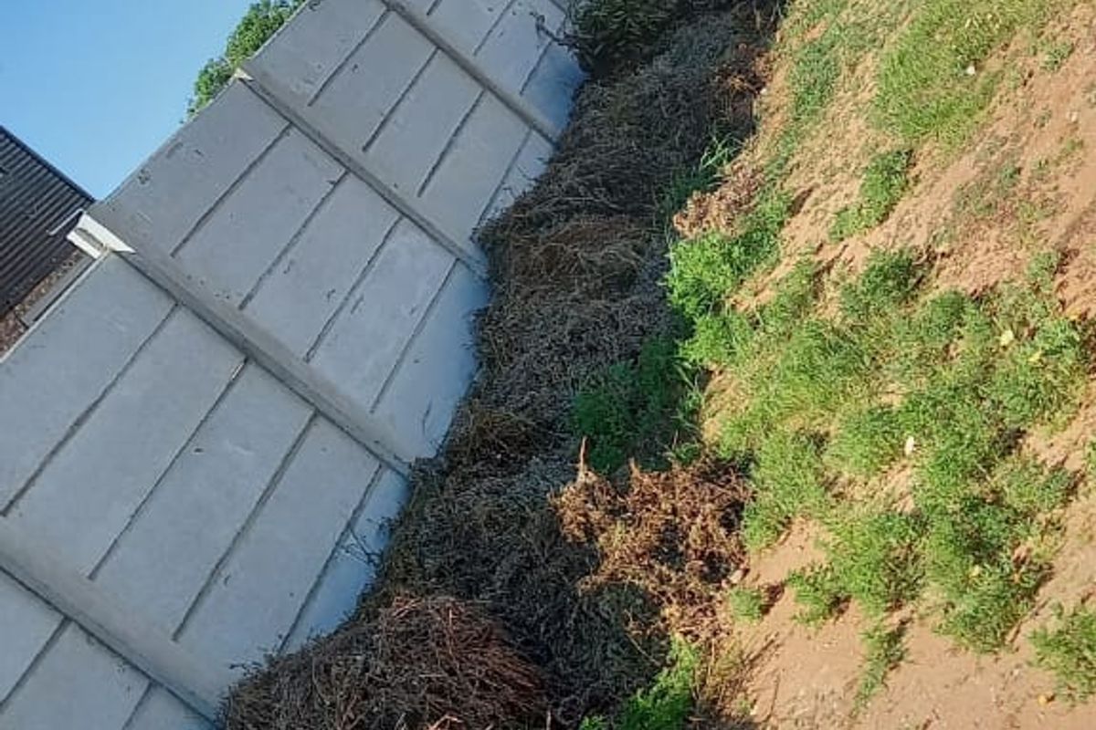 A view of the rear boundary featuring a precast concrete wall and green shade cloth fencing, currently requiring clearing of overgrown vegetation and debris.