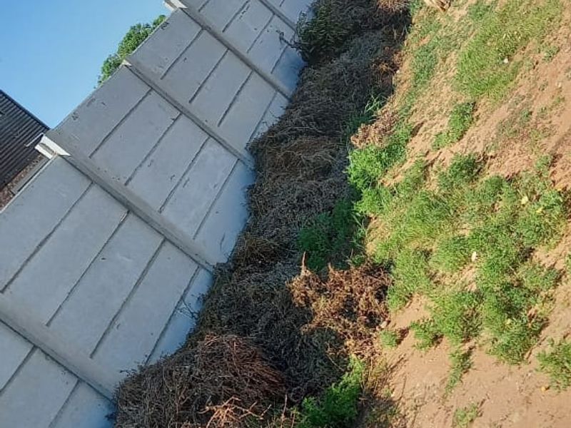 A view of the rear boundary featuring a precast concrete wall and green shade cloth fencing, currently requiring clearing of overgrown vegetation and debris.