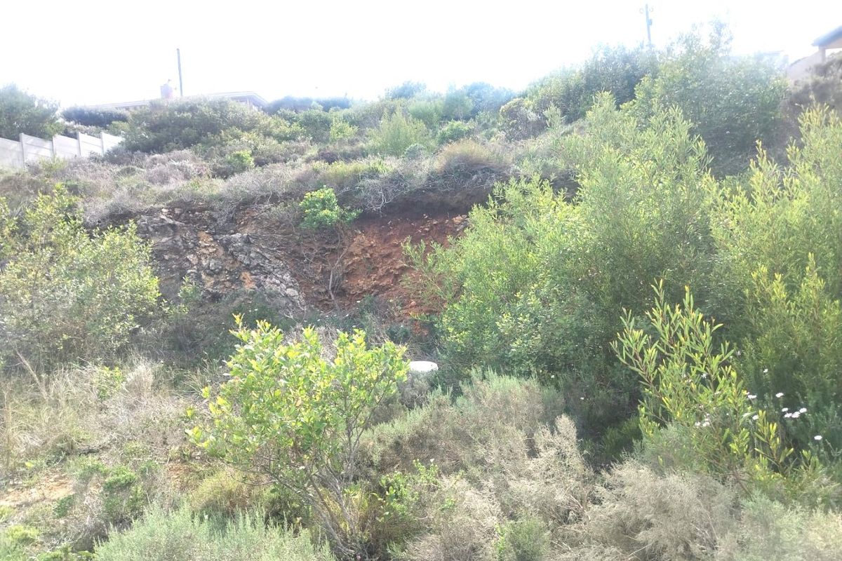 A view of the sloped, undeveloped residential land featuring native vegetation and visible soil erosion on the hillside.