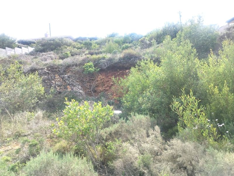 A view of the sloped, undeveloped residential land featuring native vegetation and visible soil erosion on the hillside.