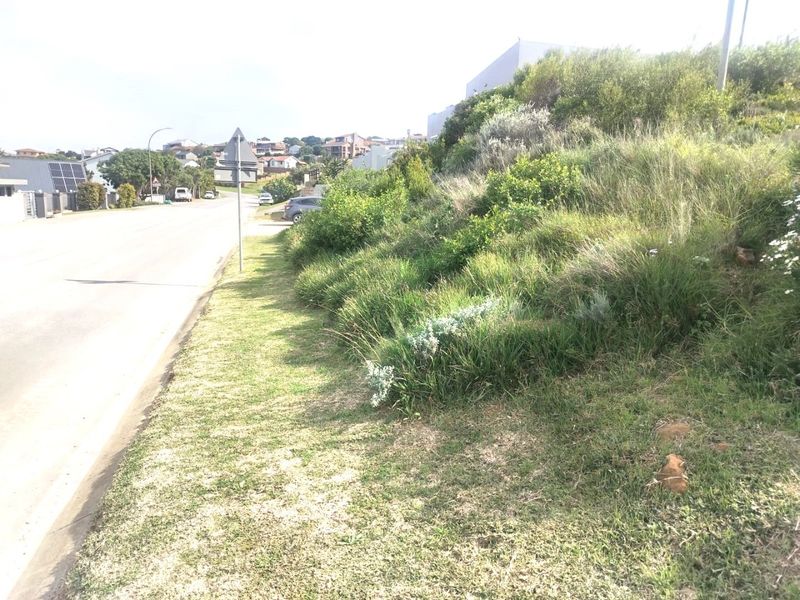 A street-level view of the residential property frontage, featuring a paved road and a sloped, grassed verge with established native vegetation.