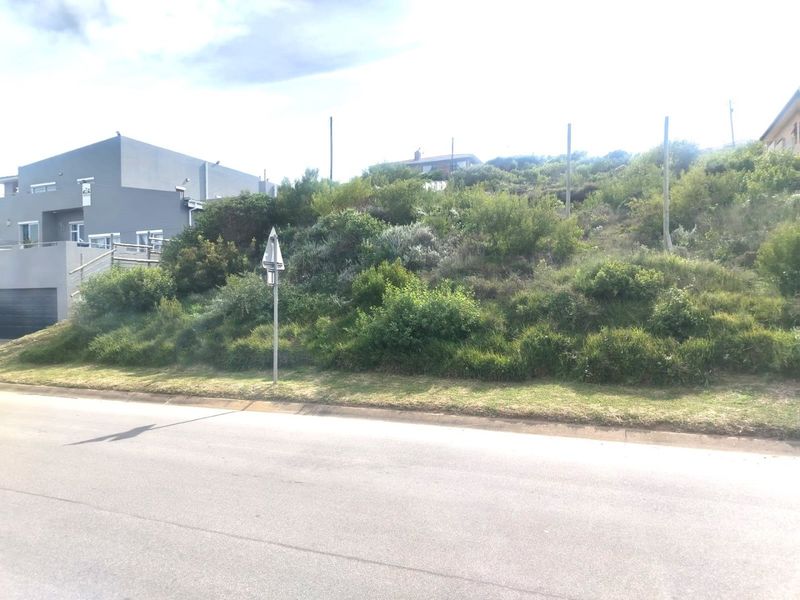 A sloped residential vacant land plot featuring established native vegetation and a grass verge, situated in a developed neighborhood.