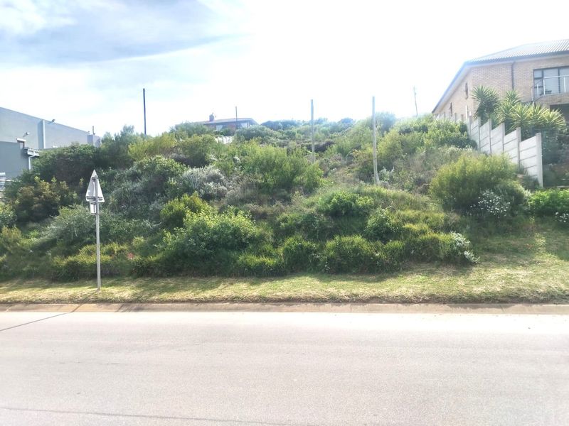 A sloped residential vacant land plot featuring established native vegetation and a retaining wall, viewed from the street level.