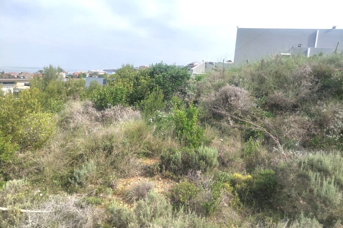 A view of a sloped, undeveloped residential plot featuring natural vegetation and surrounding neighborhood context.