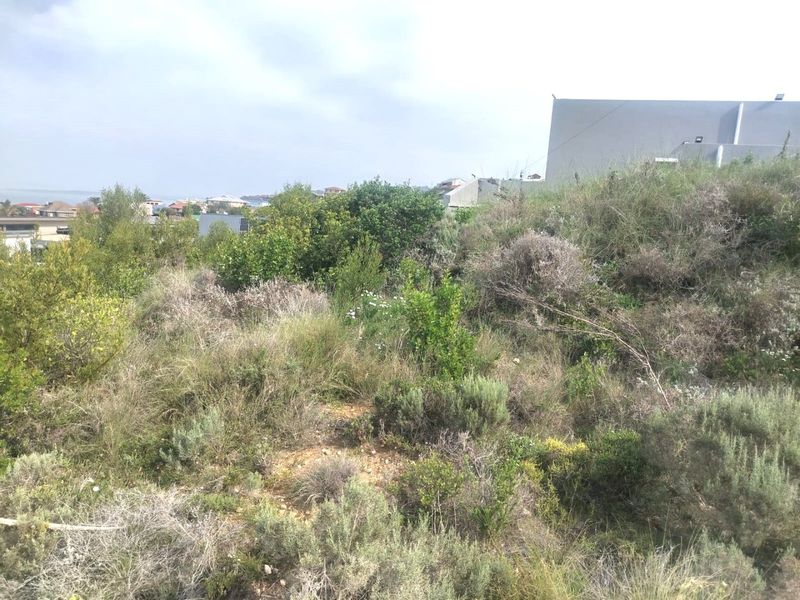 A view of a sloped, undeveloped residential plot featuring natural vegetation and surrounding neighborhood context.