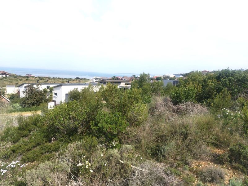 A view of the surrounding coastal landscape and residential neighborhood from the vacant residential land.