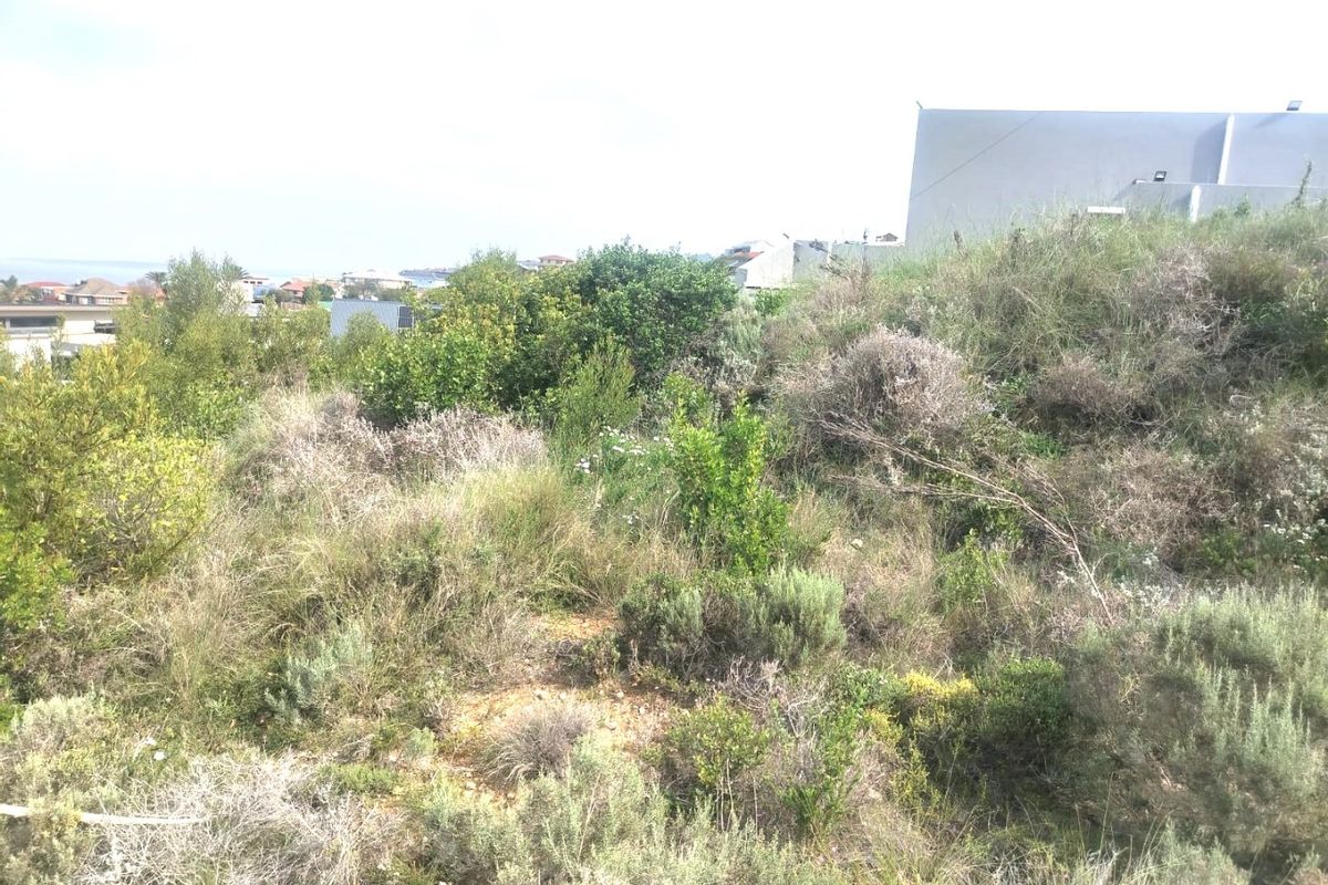 A view of a vacant residential plot featuring natural vegetation and sloped terrain, situated in a developed neighborhood.