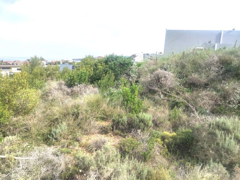 A view of a vacant residential plot featuring natural vegetation and sloped terrain, situated in a developed neighborhood.