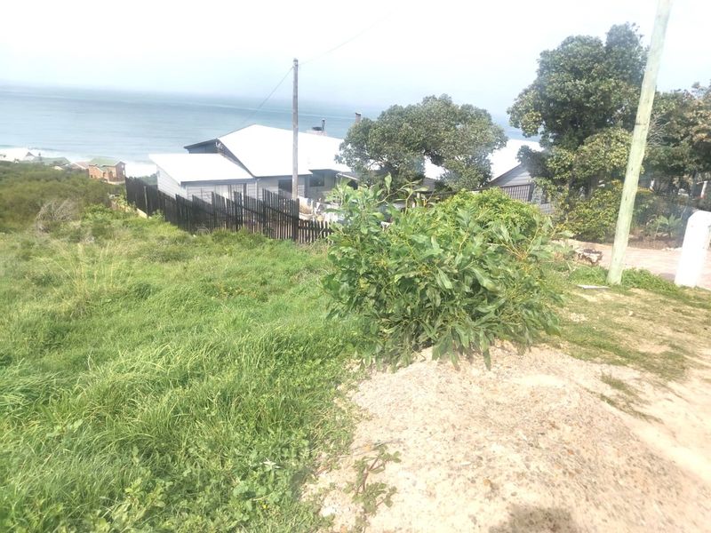 A view of the coastal landscape and surrounding residential properties from the sloped vacant land.