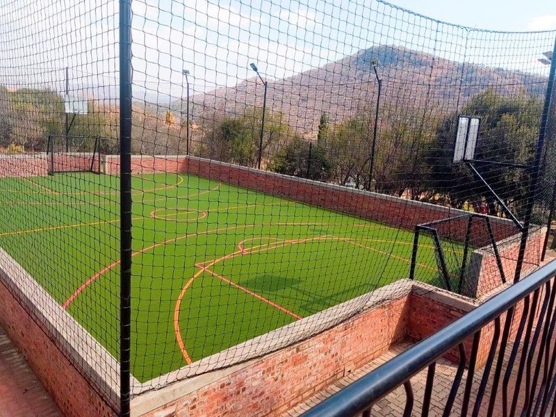 A well-maintained outdoor multi-purpose sports court featuring artificial turf, perimeter brick walls, safety netting, floodlights, and integrated basketball and soccer equipment.