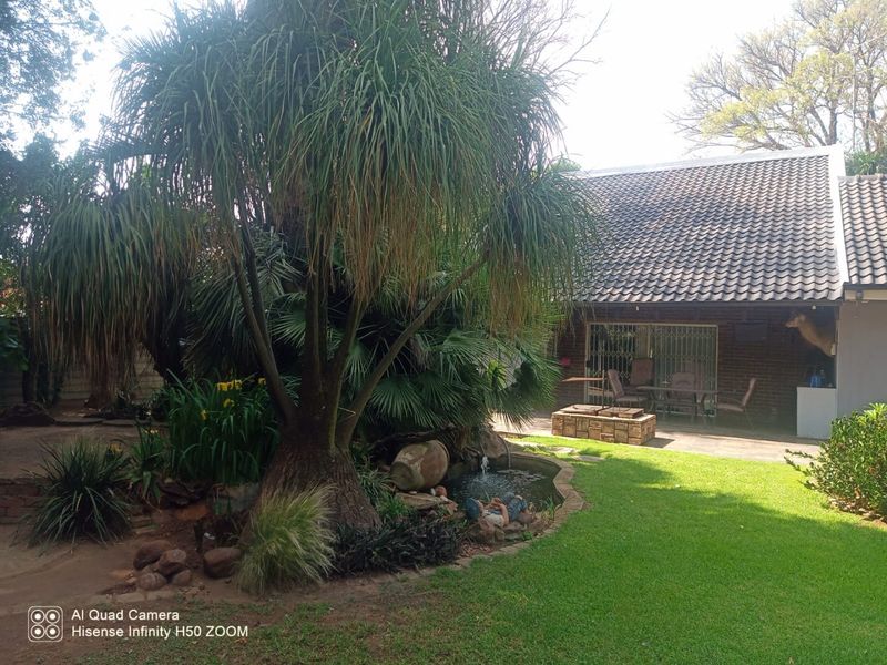 A private rear garden featuring a well-maintained lawn, mature palm tree, water feature, and a covered patio area with brick exterior walls.
