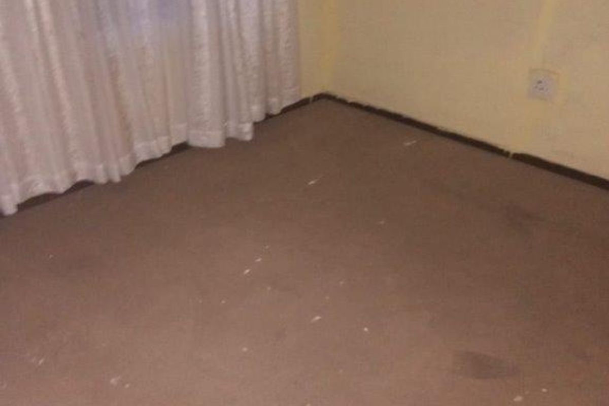An empty bedroom featuring carpet flooring and a single electrical outlet, requiring cosmetic updates to the flooring and wall finishes.