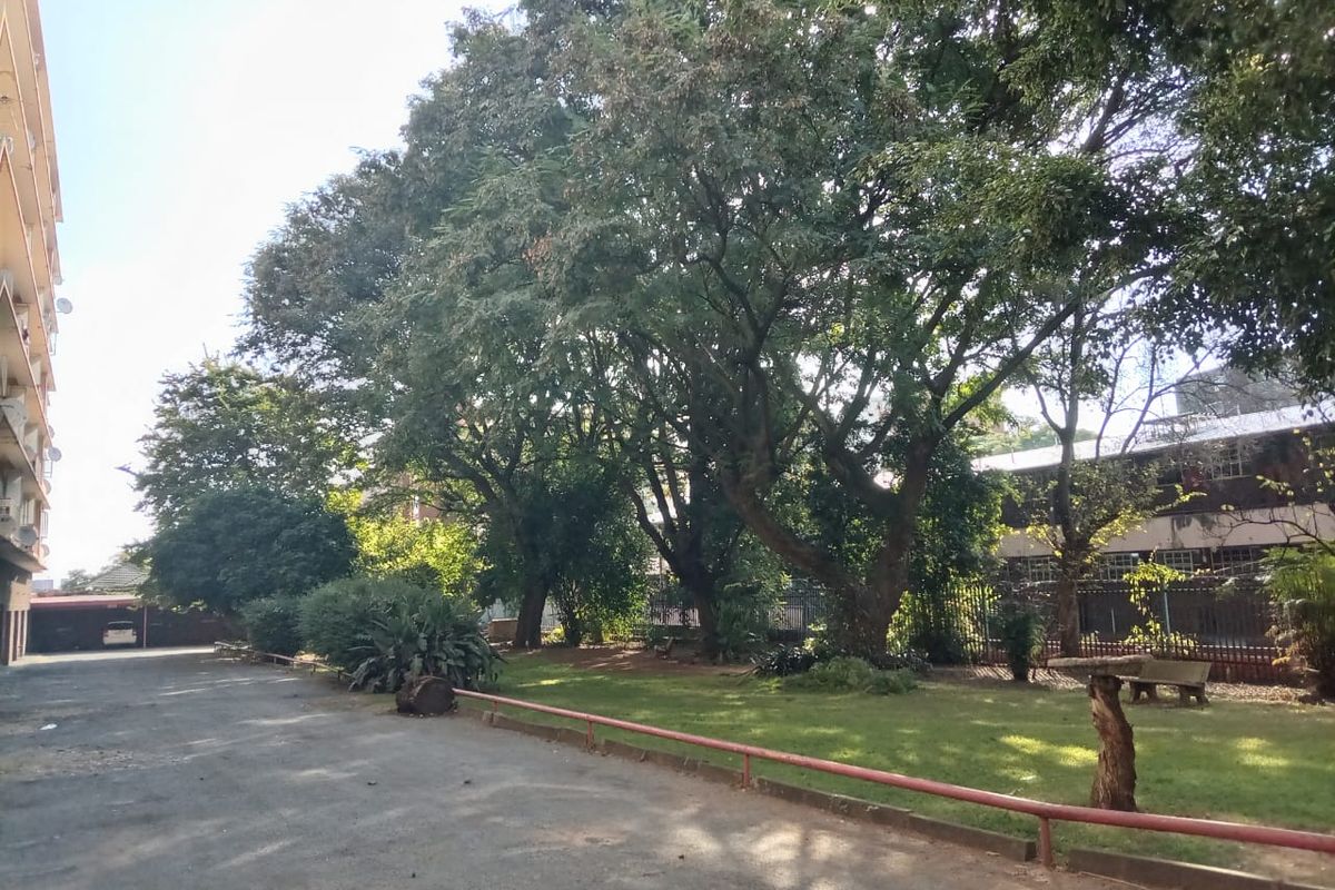 A view of the apartment complex rear grounds featuring a paved driveway, mature trees, and a shared lawn area with perimeter fencing.