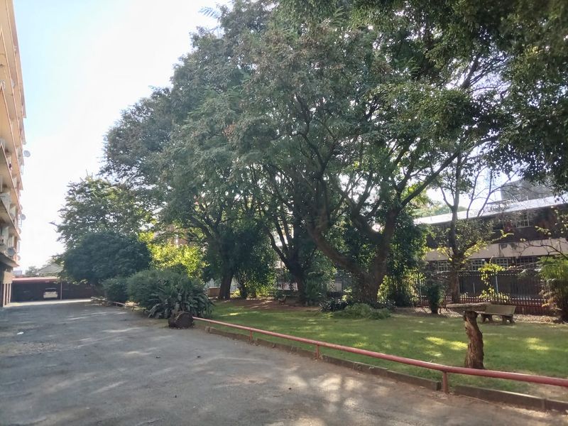 A view of the apartment complex rear grounds featuring a paved driveway, mature trees, and a shared lawn area with perimeter fencing.