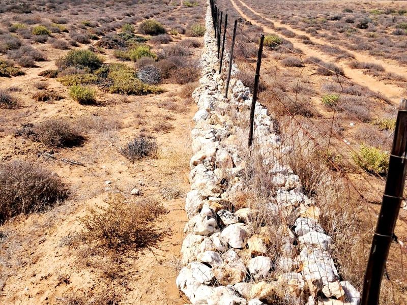 A view of the expansive farm landscape featuring a traditional stone boundary wall with wire fencing extending into the distance.