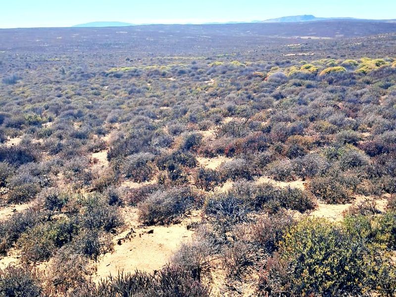 Expansive landscape view of the natural farm terrain featuring native shrubbery and open veld under a clear blue sky.