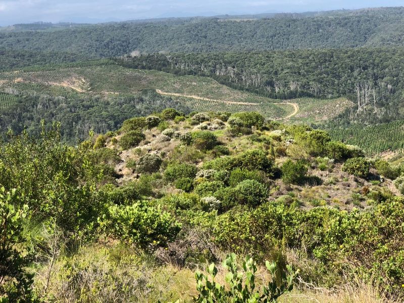 Expansive elevated view overlooking natural bushland, rolling hills, and forestry landscape.