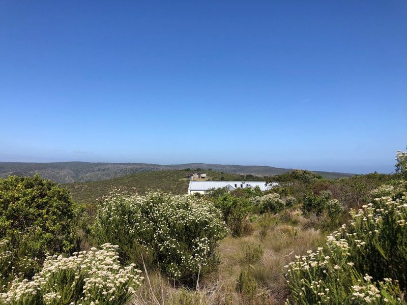 A scenic landscape view overlooking natural fynbos vegetation with a distant residential structure visible on the horizon.