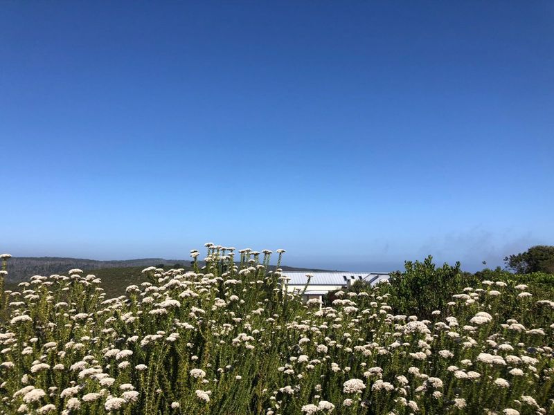 A scenic view overlooking natural coastal vegetation with a glimpse of the property roofline in the distance.