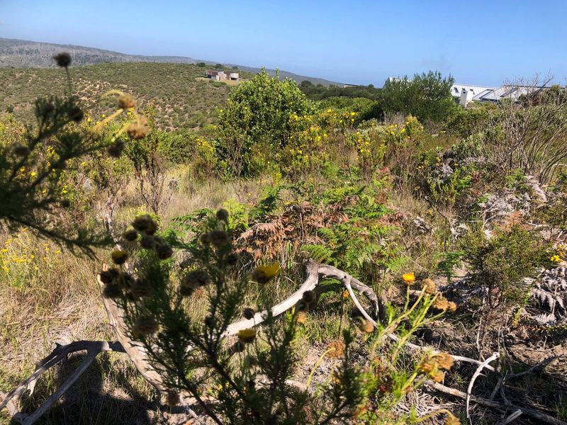A scenic view of the surrounding natural landscape and hillside terrain, showcasing the property's elevated position and rural outlook.