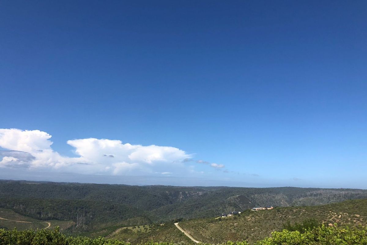 A scenic elevated view overlooking rolling hills, native vegetation, and distant landscape under a clear blue sky.