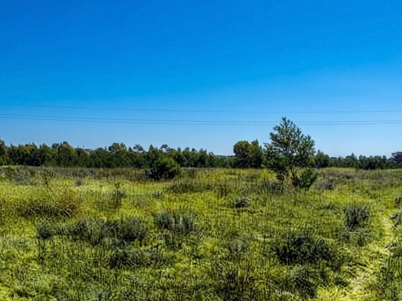 A wide-angle view of open, undeveloped farm land with natural vegetation and clear blue skies.