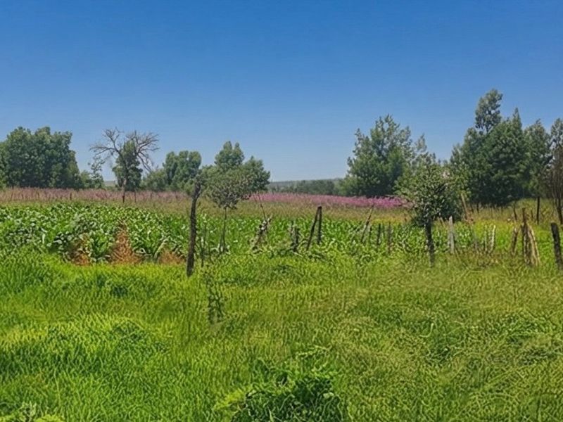 A view of the farm land featuring open green fields, cultivated crops, and natural vegetation enclosed by rustic wire and wooden post fencing.
