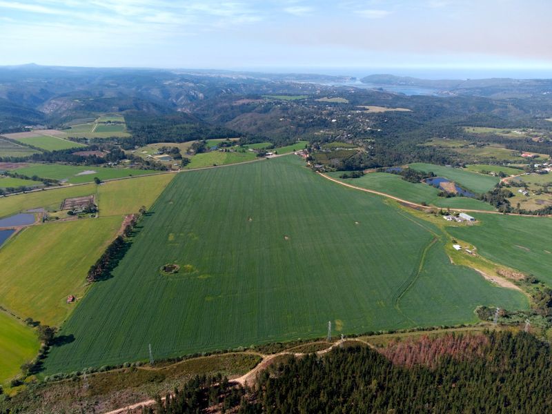 Expansive farm in scenic surrounds - Photo 9