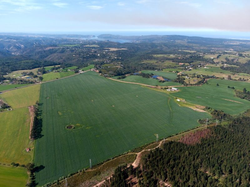 Expansive farm in scenic surrounds - Photo 10