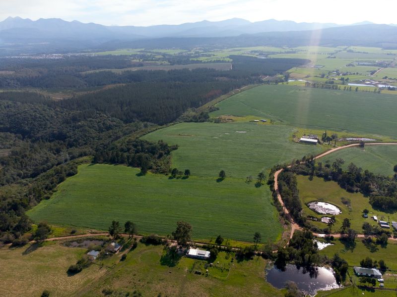 Expansive farm in scenic surrounds - Photo 3