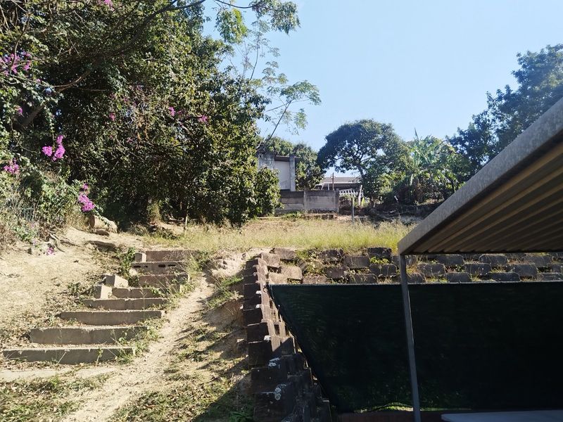Outdoor garden area featuring concrete stairs, a retaining wall, and a metal roof structure, set within a sloped landscape with mature trees.