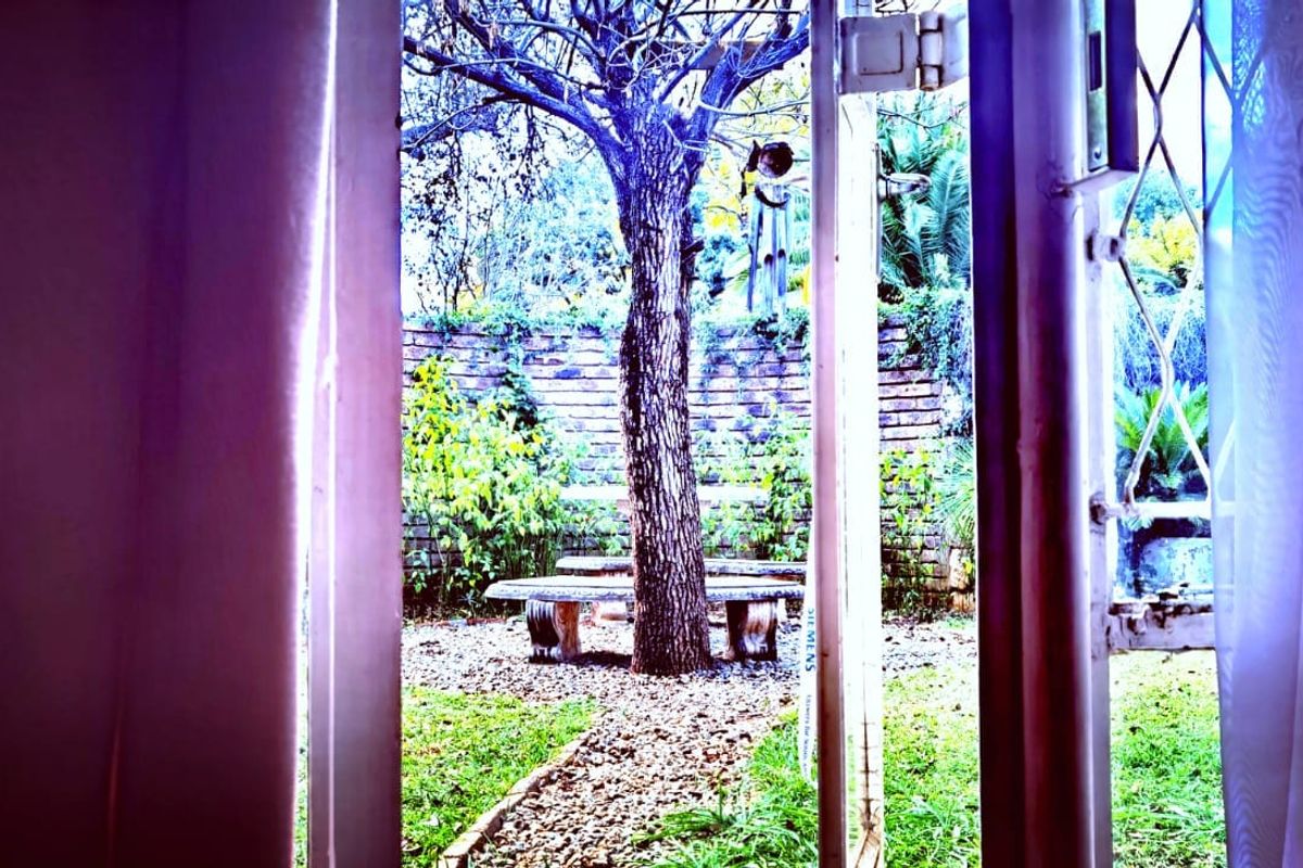View of a rear garden area featuring a mature tree and brick boundary wall, seen through an open doorway with security gate.