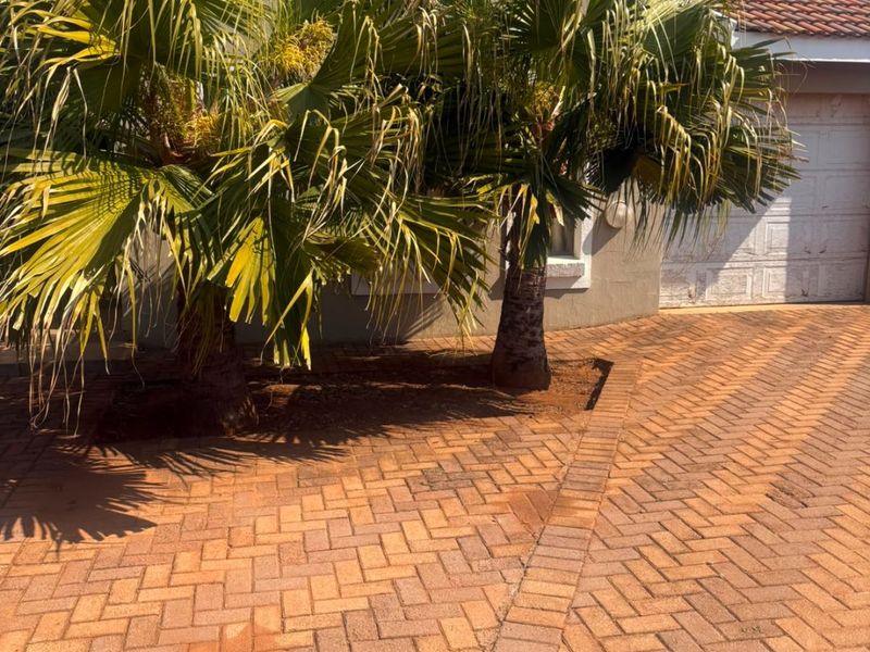 Front exterior view of the property featuring a paved driveway, garage access, and established palm trees against a stucco facade.