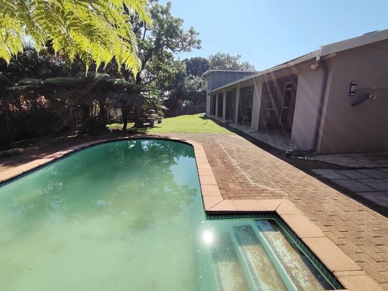 Outdoor pool area featuring a swimming pool with paved surround, adjacent lawn, and a covered patio extending along the rear of the house.