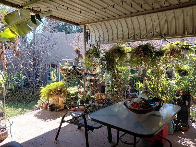 A covered outdoor patio area featuring a corrugated metal roof and concrete flooring, overlooking a garden space.