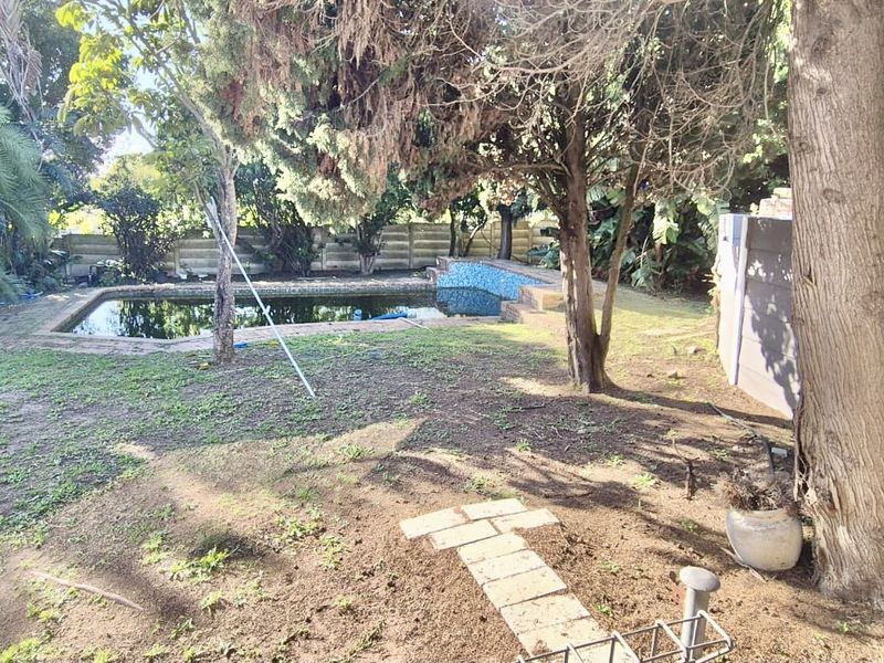 A backyard area featuring a swimming pool, boundary wall, and mature trees, requiring landscaping and pool maintenance to improve the outdoor space.