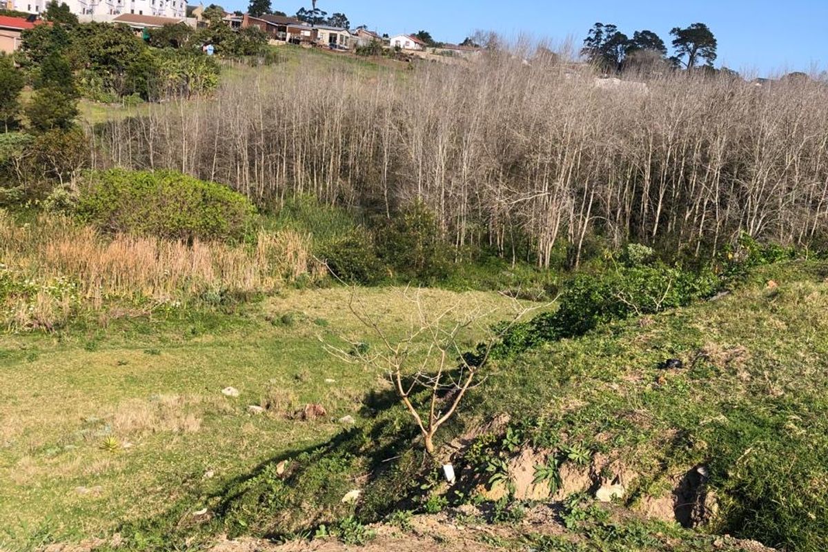 A view of a sloped, undeveloped residential plot featuring natural vegetation and trees, with surrounding neighborhood houses visible in the distance.