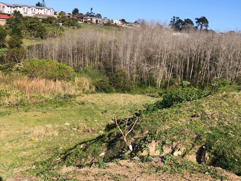A view of a sloped, undeveloped residential plot featuring natural vegetation and trees, with surrounding neighborhood houses visible in the distance.