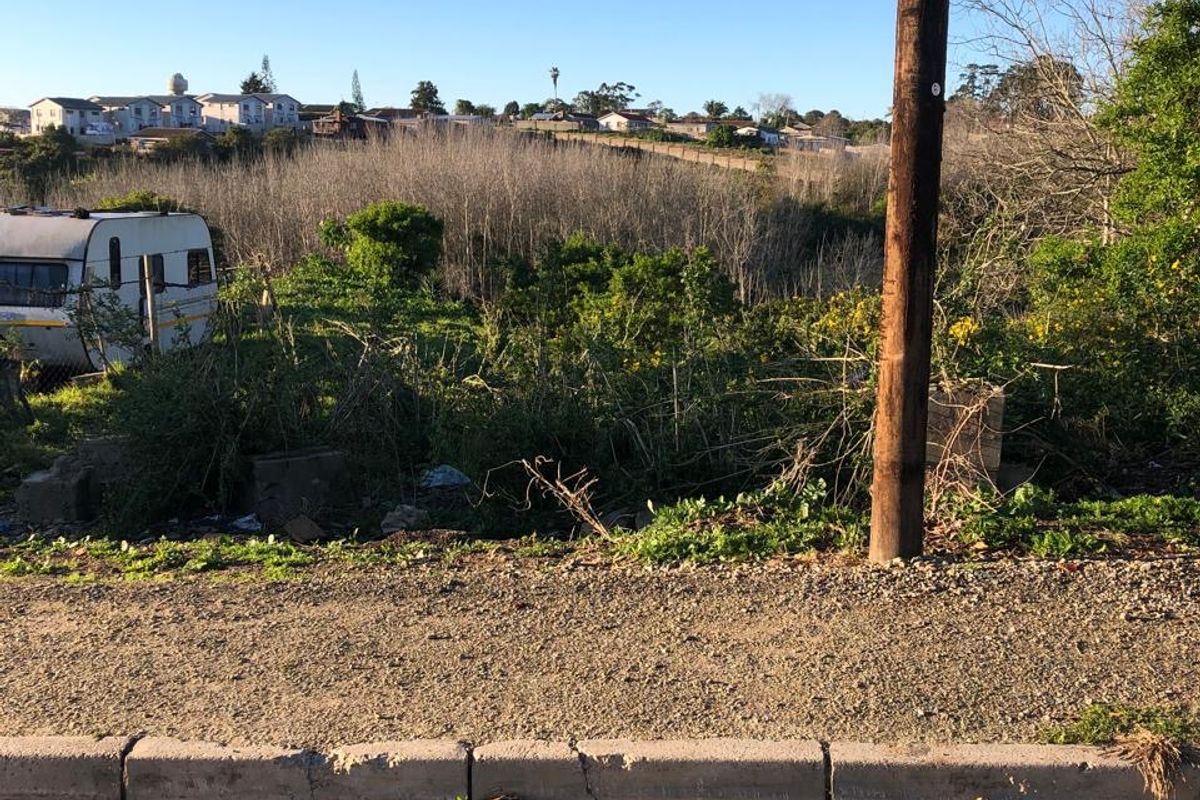 Street view of a vacant residential plot featuring a paved road, concrete curb, and utility pole with overgrown vegetation in the background.