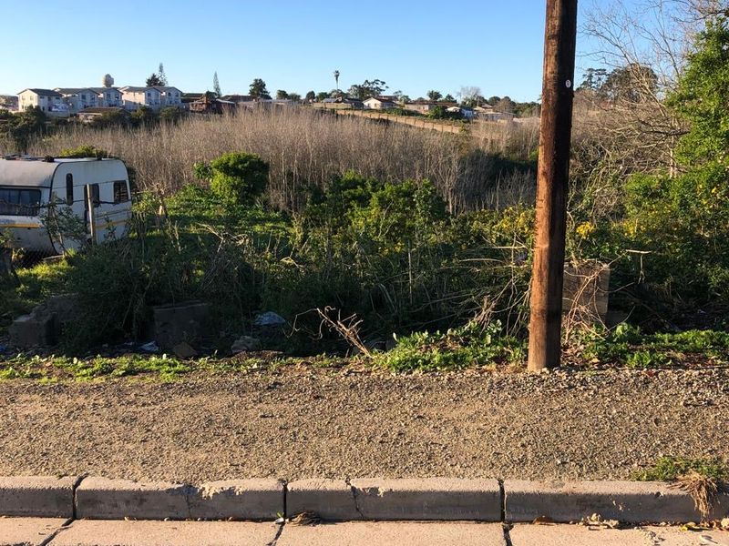 Street view of a vacant residential plot featuring a paved road, concrete curb, and utility pole with overgrown vegetation in the background.