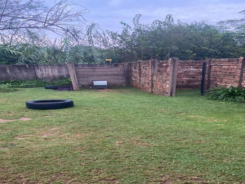 A private backyard garden featuring a lawn area enclosed by brick boundary walls and concrete fencing posts.