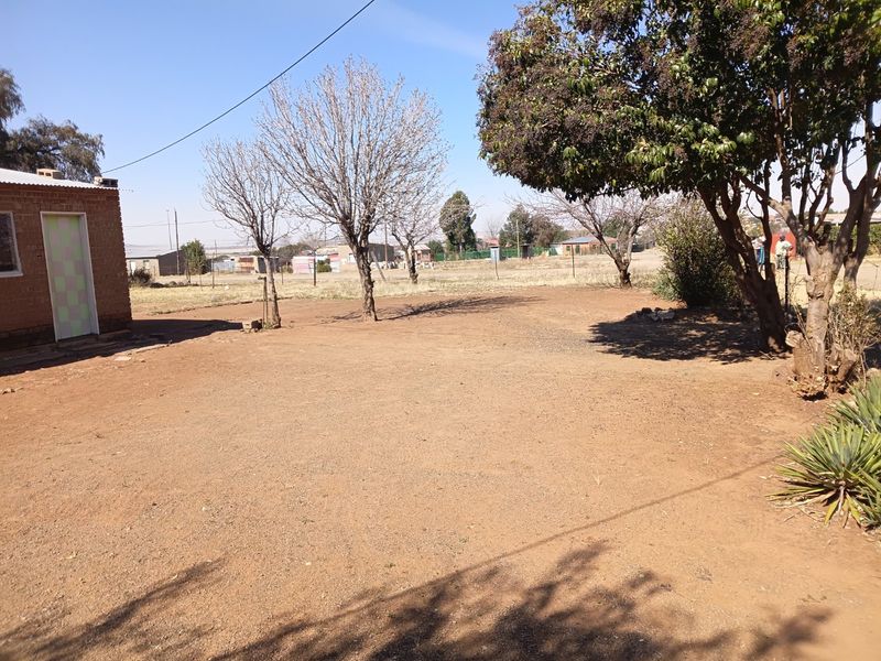 A spacious, undeveloped garden area featuring mature trees and a brick exterior wall, offering significant potential for landscaping and outdoor improvement.