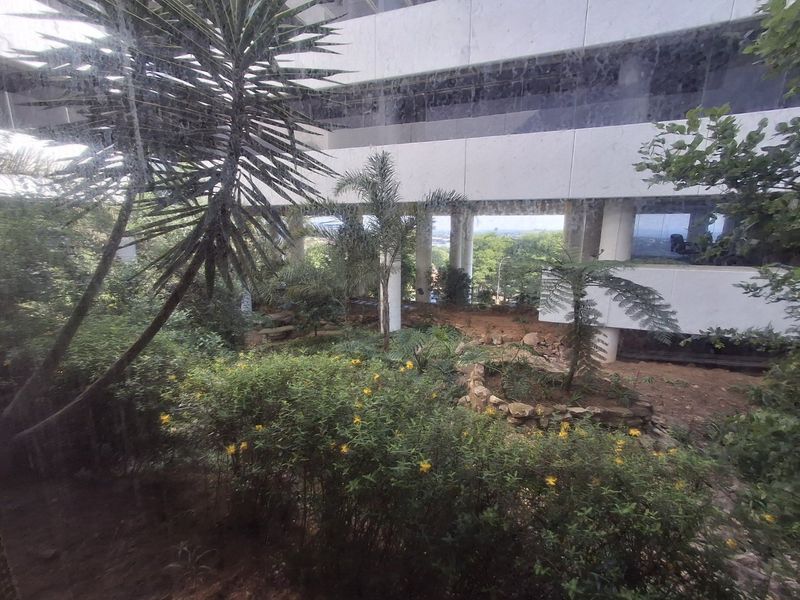 A view of the rear commercial building facade featuring concrete structural pillars and an established garden area with mature landscaping.