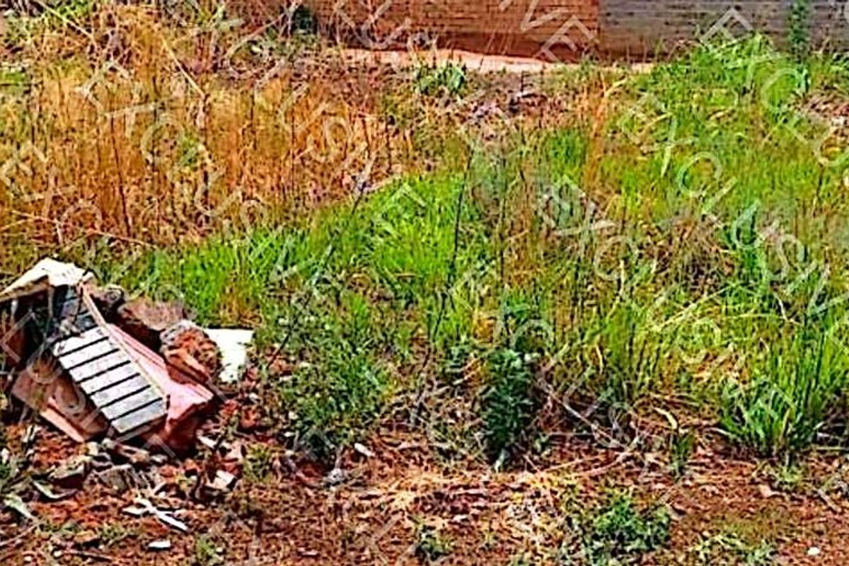 A view of an unimproved residential plot featuring overgrown natural vegetation and scattered debris.
