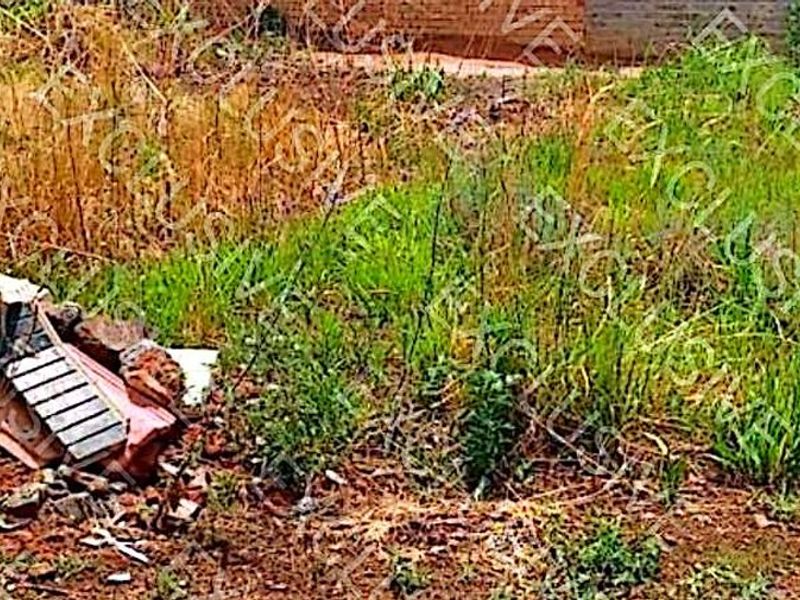 A view of an unimproved residential plot featuring overgrown natural vegetation and scattered debris.