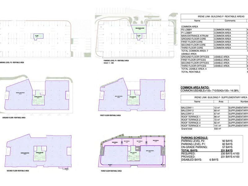 Architectural floor plan layout for Irene Link Building F, detailing rentable areas, common areas, and parking schedules.