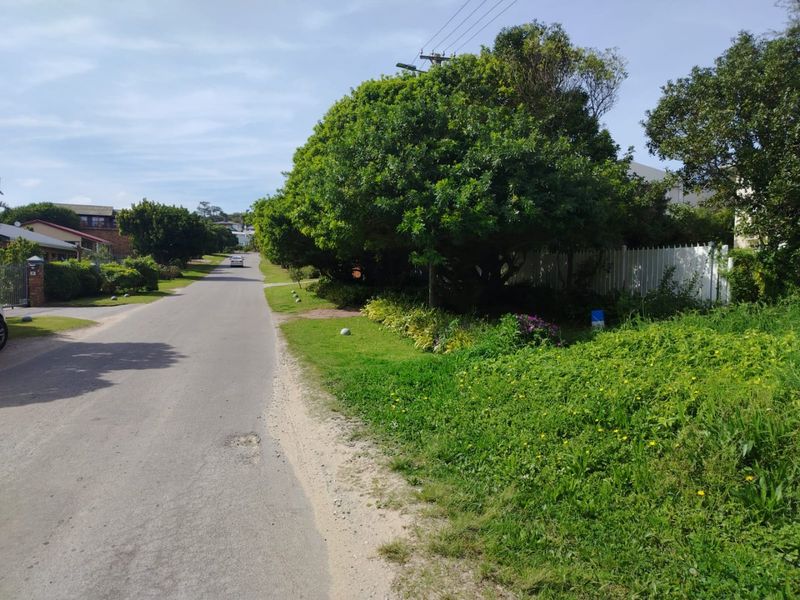 A view of the residential street approach, featuring a paved road, established trees, and perimeter fencing along the property boundary.